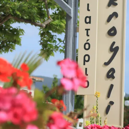 艾克洛亚丽别墅酒店 公寓式酒店 Mési