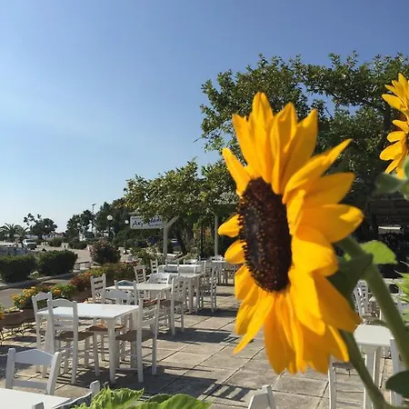 Апарт-отель Akroyali &