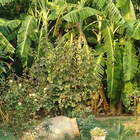 Апарт-отель Akroyali &