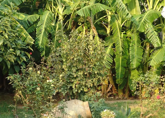 Aparthotel Akroyali &